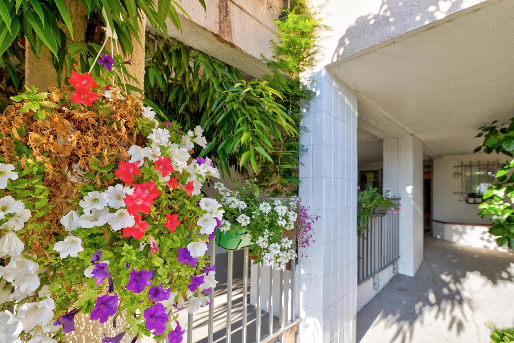 Residence Pierre & Vacances Bandol Port Kültér fotó